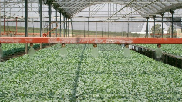 irrigation in Israel