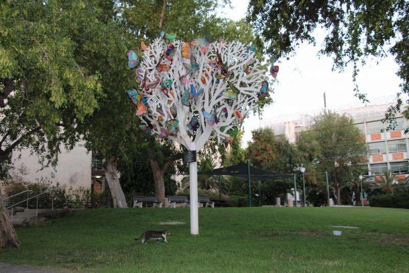 faculty butterflies tree