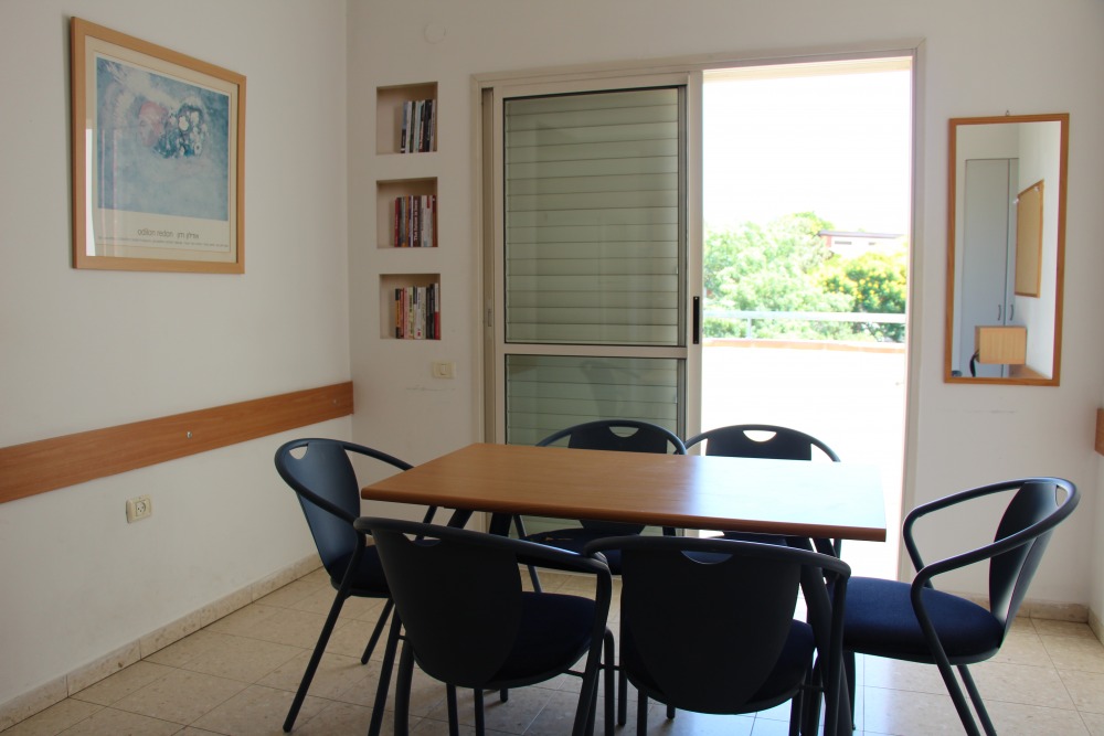 reisfeld shared apartment